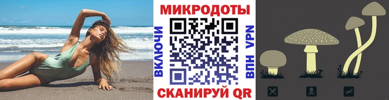 Галлюциногенные грибы прущие грибы Фёдоровский